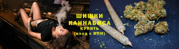 прущий лед Козельск