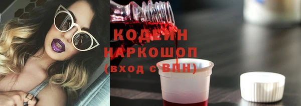трава Кодинск
