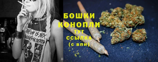 прущий лед Козельск