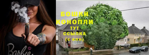 трава Кодинск