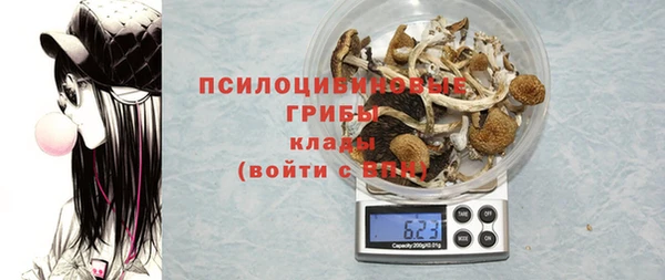 бошки Козловка