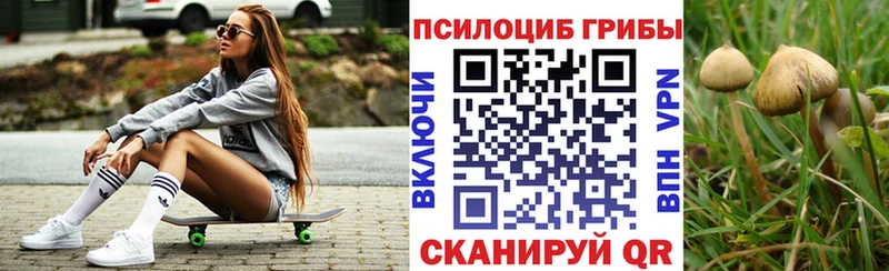 Галлюциногенные грибы GOLDEN TEACHER  Купить закладки  Острогожск 
